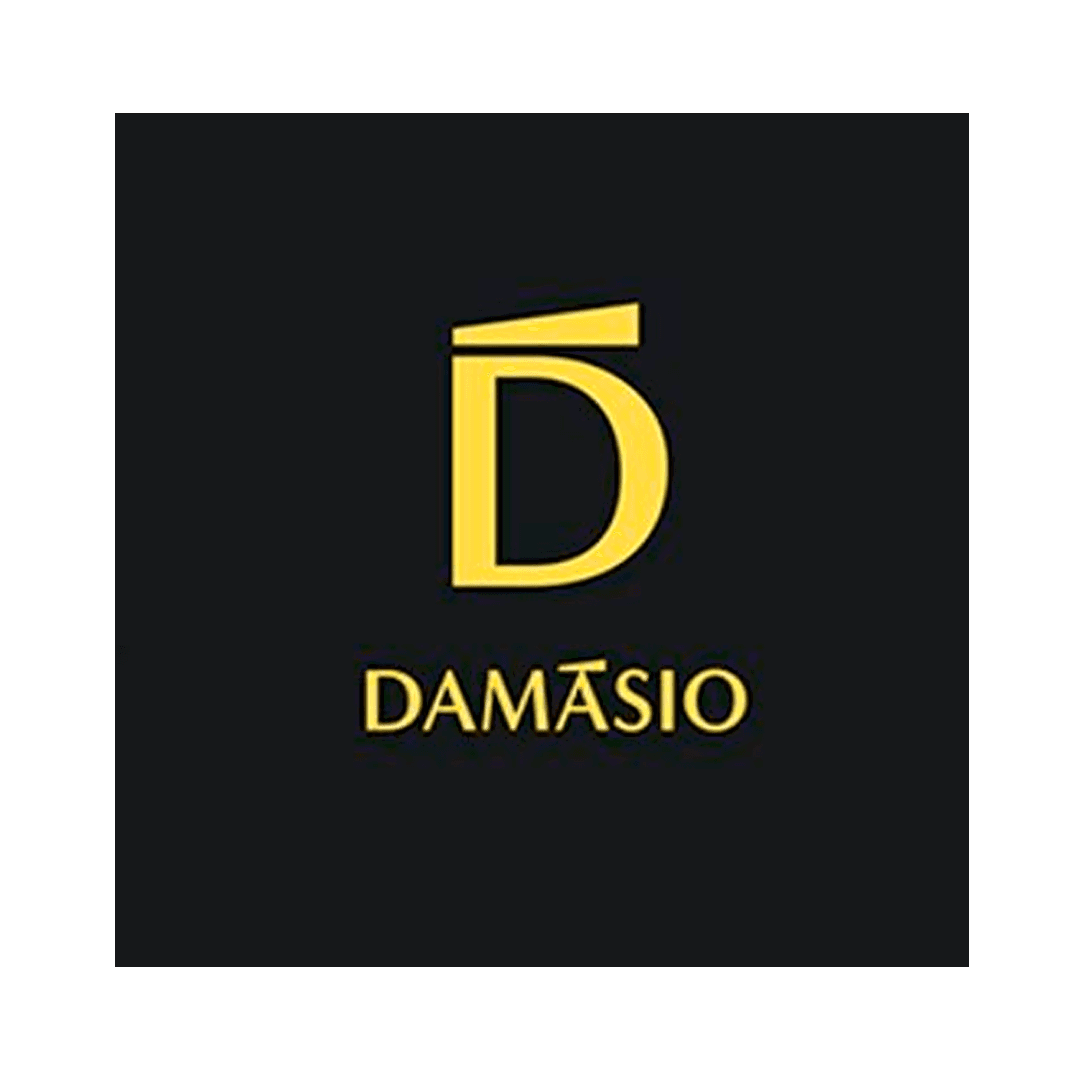 DAMÁSIO EDUCACIONAL